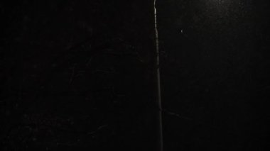 Hava tahmini, anomali, acil durum, element, kış konsepti - dengesiz bir kar fırtınası. Gece yolundaki sokak lambasının ışığında kar taneleri düşüyor. Kiev 'deki ilk kar