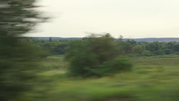 Vervoer, reizen, weg, spoorweg, landschap, comnicatie concept - uitzicht vanuit het raam van de sneltrein op landschap van gele tarwe veld, elektrische palen en bos in dof bewolkt weer zomeravond — Stockvideo