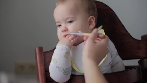 Jedzenie, odżywianie, koncepcje z dzieciństwa - średni strzał Mama karmi niemowlę gumową łyżeczką. Cute głodny dziecko ubrane w śliniaczek siedzieć w foteliku dla dzieci nie chcą jeść z płyty w pomieszczeniach. Najpierw niechęć. — Wideo stockowe