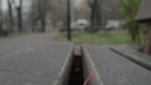 Pronóstico del tiempo, fenómenos naturales, anomalías, concepto de invierno - nevadas en día nublado. primera nieve cae en banco húmedo parque de madera y se derrite. Descongelar y matar a principios de invierno o finales de otoño. enfoque suave — Vídeos de Stock