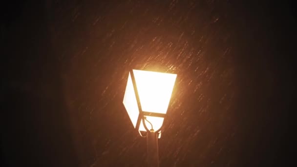 Прогноз погоды, аномалия, чрезвычайная ситуация, элемент, зимняя концепция - панорамирование нестабильной ручной стрельбы снегопадами. Падающие снежинки в желтом свете уличных фонарей в ночном парке. первый снег в Киеве — стоковое видео