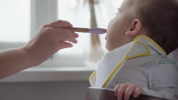 Prima alimentazione, cibo, nutrizione, concetti di infanzia - La mamma nutre il bambino con un cucchiaio di gomma. Carino bambino affamato vestito in bavaglino si siede in sedia per bambini e mangia la colazione dal piatto in cucina al chiuso — Video Stock