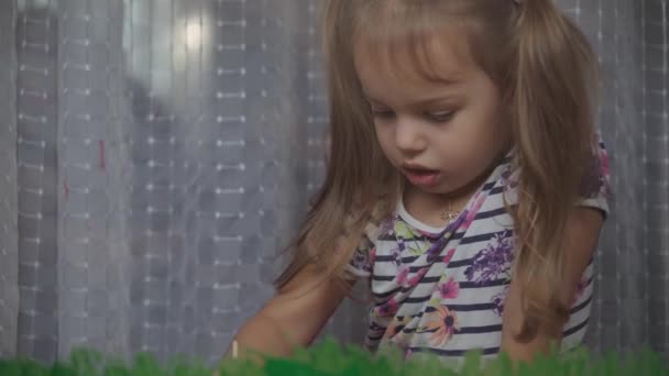 Jeugd, creativiteit, natuur, lente, zomer concept - close-up van schattig klein meisje 3-4 jaar tekenen met acryl kleuren op glas. kleuterschool kinderschilderlandschap: zon, boom, wolk, regen, bloem — Stockvideo