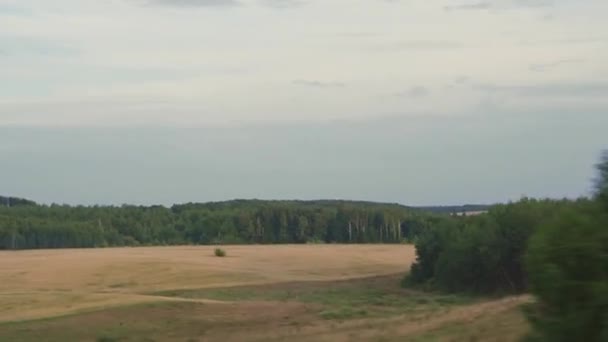 Trasporto, viaggi, strada, ferrovia, paesaggio, concetto di comnicazione - vista dalla finestra del treno di velocità sul paesaggio del campo di grano giallo, pali elettrici e foresta in tempo nuvoloso opaco sera d'estate — Video Stock