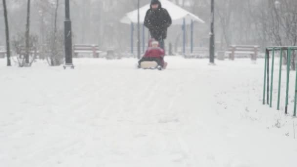 Vinter, Barndom, Faderskap, Spel, Familjebegrepp - Två glada förskola småbarn syskon barn pulka ha kul leka tillsammans med pappa i snöfall kallt väder i parken utomhus — Stockvideo