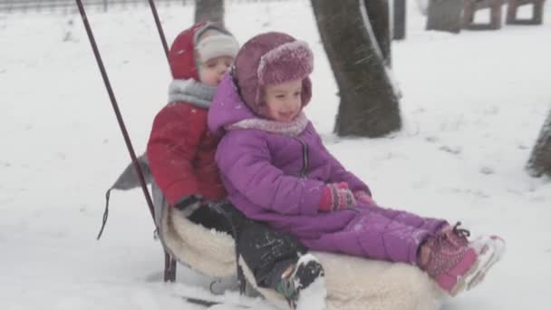 Zima, dětství, otcovství, hry, rodinné koncepty - Dvě šťastné předškolní batole děti sourozenci děti sáňkování baví hrát si s tátou ve sněhu chladné období počasí v parku venku — Stock video