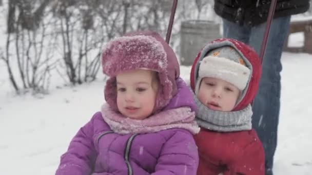 Vinter, Barndom, Faderskap, Spel, Familjebegrepp - Två glada förskola småbarn syskon barn pulka ha kul leka tillsammans med pappa i snöfall kallt väder i parken utomhus — Stockvideo