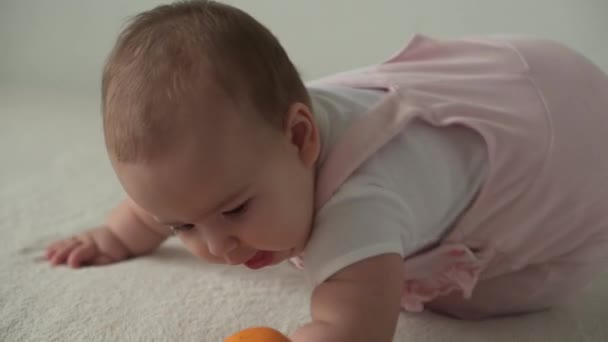 Neonato, infanzia, cibo, prima alimentazione, concetto di vitamine gioia felice divertente bambino giocoso 8 mesi neonata mangia arancione. paffuto bambino prende rotondo dolce gustoso frutta con le mani al chiuso su sfondo bianco — Video Stock