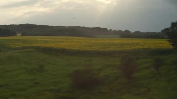 Transporte, viagem, estrada, ferrovia, paisagem, conceito de comunicação - vista do trem de velocidade da janela na paisagem de pólos elétricos de campo de girassol amarelo e floresta em tempo nublado nublado noite de verão — Vídeo de Stock