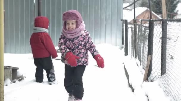 Winter, vacation, game, family concept - slow motion Two happy preschool toddler kids siblings dressed in hats and mittens walking in snow during snowfall in cold season weather in snowy park outdoors — Stock Video