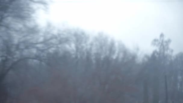 Transporte, carretera, ferrocarril, paisaje, concepto de comunicación: primer plano goteos de lluvia fluyen por el cristal de la ventana del tren de alta velocidad. viajar por el campo en tren. arroyos corrientes de fondo de agua — Vídeos de Stock