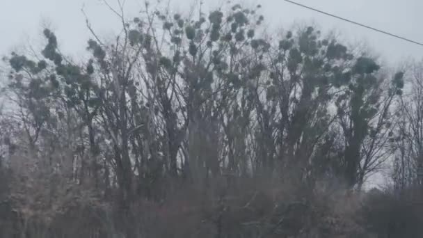 Transport, Straße, Eisenbahn, Landschaft, Verkehrsanbindung, Konzept - Blick aus dem Fenster des Schnellzuges auf die Landschaft der Natur mit schneebedeckten Feldern und Wäldern im Winterschneesturm. Reisen auf dem Lande mit der Bahn — Stockvideo