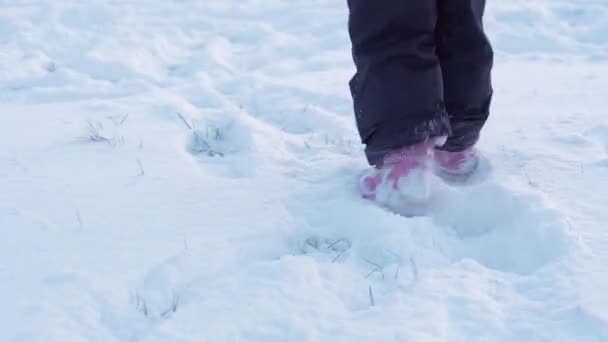 Winter, vakantie, spelletjes, familie concept - close-up authentieke kleine kleuterschool minderjarige 3-4 jaar oud meisje in het paars op besneeuwde weide spelen met sneeuw voor zonsondergang. kind loopt en valt op besneeuwd gebied — Stockvideo