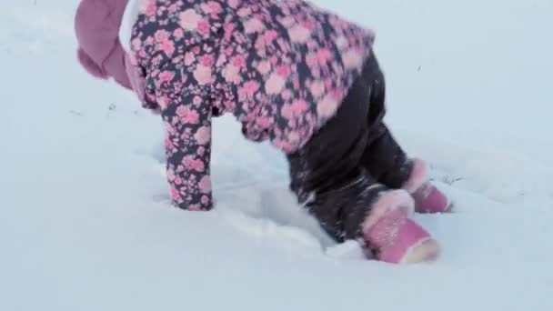 Winter, Urlaub, Spiele, Familienkonzepte - der Mittelplan eines authentischen kleinen Vorschulmädchens in lila auf einer schneebedeckten Wiese spielt mit Schnee in der Natur. Kind läuft auf verschneitem Gelände — Stockvideo