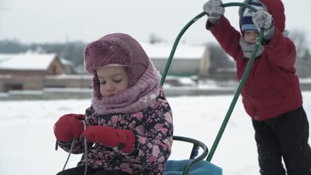 Vacances, jeu, concept familial - Xo@-@ mo authentique Deux enfants d'âge préscolaire heureux enfants frères et sœurs dans des chapeaux et mitaines traîneau et rouler l'un l'autre. chutes de neige par temps froid dans le parc d'hiver en plein air — Video