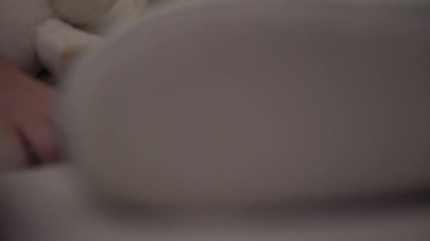 Auténtico primer plano de linda niña preescolar caucásica niña de 3-4 años duerme dulcemente en una cómoda cama blanca con oso de peluche. Cuidado de niños, Bebé dormido, Infancia, La paternidad, concepto de vida — Vídeos de Stock