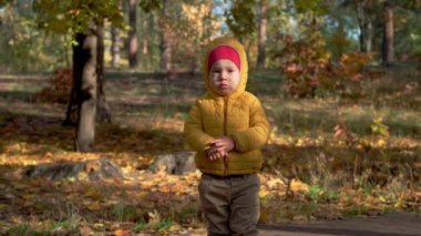 Üzgün, küçük, beyaz, yakışıklı bir erkek bebek. 2-3 yıldır Autumn Park 'ta kameraya bakıyor. Sarı ceketli çocuk güneşli bir havada düşen yaprakların arasında yürüyor. Doğa, çocukluk kavramı