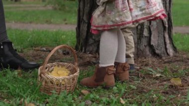 Çocukluk, aile, annelik, sonbahar konsepti - 2-4 yaşlarında küçük çocuklar ve genç annesi olan kız ve erkek çocukları, bulutlu bir havada parktaki sepetin içindeki yeşil çimlerden düşen sarı yaprakları ve konileri topluyorlar.