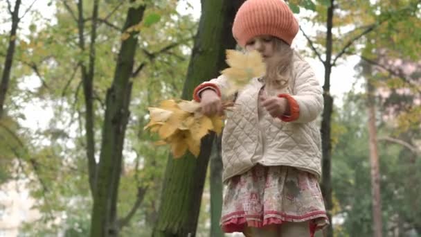 Barndom, familie, høstkonsept - liten blond jente med løst hår 3-4 år gammel i oransje beret samler fallegule lønneblader fra grønt gress i kurv i parkering i overskyet vær – stockvideo