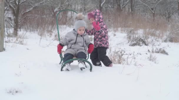 Vacaciones, juego, concepto de familia slo-mo auténtica Dos niños preescolares felices hermanos en sombreros y manoplas trineo y rodar entre sí. nevadas en temporada fría en el parque de invierno al aire libre — Vídeo de stock