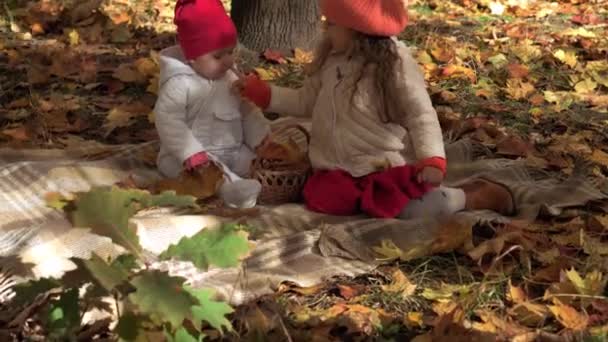 Autêntico pouco bonito crianças pré-escolares caucasianas menina bebê irmãs em folhas amareladas caídas no parque de outono ou floresta. As crianças passam algum tempo. Família no Outono. Natureza, Estação, Conceito de infância — Vídeo de Stock