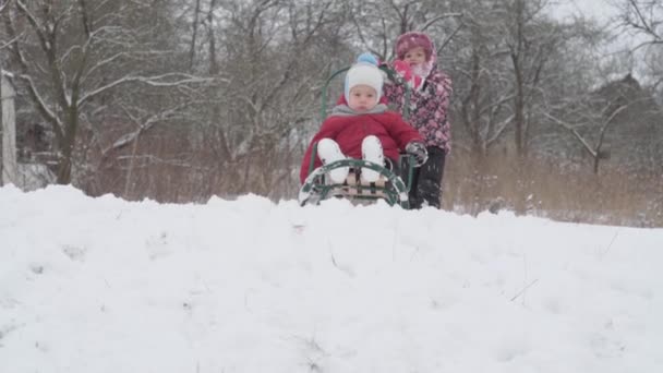 Dovolená, hra, rodinný koncept - slo-mo autentické Dvě šťastné předškolní batolata děti sourozenci v kloboucích a palčáky sáňkování a válcování navzájem. sněžení v chladném období počasí v zimním parku venku — Stock video