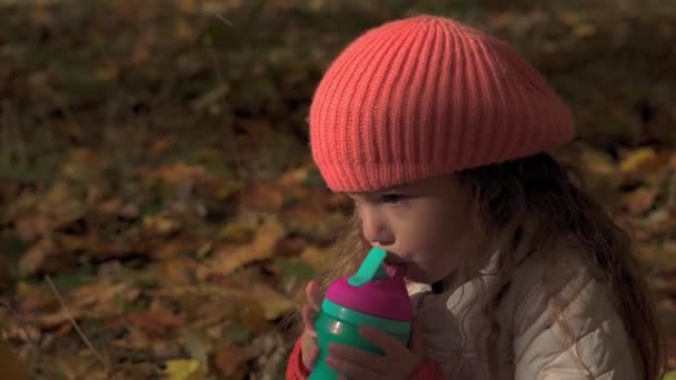 Autentic trist serios mic drăguț caucazian copil preșcolar în beretă portocalie pe carouri în frunze de gălbenuș căzute în parc de toamnă sau pădure băut din sticlă. Natură, Sezon, Conceptul copilăriei . — Videoclip de stoc