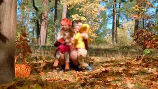 本物の小さなかわいい白人の就学前の子供たち秋の公園や森の秋の黄色の葉で男の子の女の子の幼児の赤ちゃん。子供たちはお母さんと遊んで時間を過ごす。秋に家族。自然、子供時代のコンセプト — ストック動画