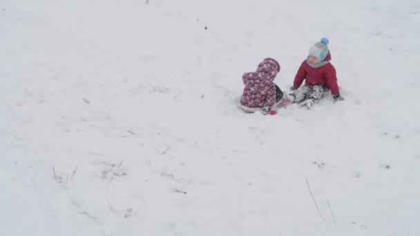 Vacances, jeu, concept familial - Xo@-@ mo authentique Deux enfants d'âge préscolaire heureux enfants frères et sœurs glissent sur la colline et s'entraident pour monter. chutes de neige par temps froid dans le parc d'hiver en plein air — Video