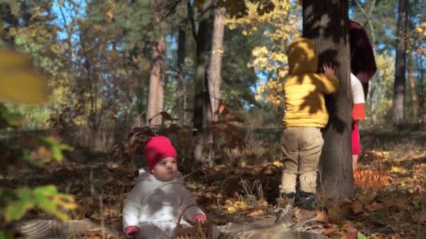 Autentyczne trochę słodkie białe przedszkola dzieci chłopiec dziewczynka niemowlę dziecko w upadłych liści żółtka w jesiennym parku lub lesie. Dzieci bawią się w chowanego z mamą. Jesienią rodzina. Natura, koncepcja dzieciństwa — Wideo stockowe