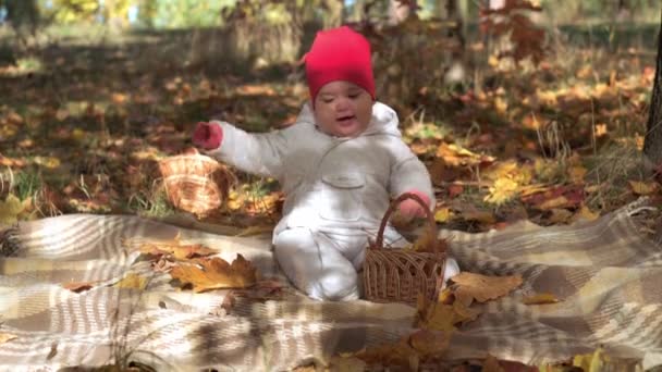 Authentieke kleine schattige vrolijke mollige Kaukasische baby meisje 6-8 maanden in rode hoed zittend op plaid in gevallen geel bladeren in de herfst park of bos. Kinderen in de herfst. Natuur, Seizoen, Jeugd concept — Stockvideo