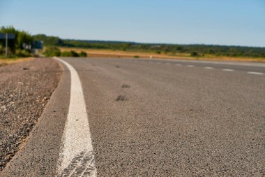 Yumuşak odaklı asfalt yol yüzeyinde, düşük açılı beyaz işaretler var. Yazın ormanlık alan ve yol maviye boyandı. Yüksek kalite fotoğraf. Seyahat, tehnoloji, doğa kavramı.