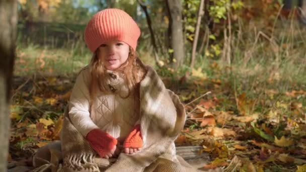 Autentisk liten søt, caucasian førskolejente 3-4 år i appelsinberet sittende pakket inn i et teppe på bakken i falne gulløv i høstparken eller skogen. Natur, årstid, Barndomskonsept. – stockvideo