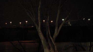 Gece parkındaki parlak ışık fenerinin üzerindeki kar yağışı kış öncesi çekim için harika. Akşam şehir manzarası. Meteoroloji, Hava Durumu, Doğal Fenomen, Mutlu Noeller ve Yeni Yıl Konsepti