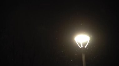 Gece parkındaki parlak ışık fenerinin üzerindeki kar yağışı kış öncesi çekim için harika. Akşam şehir manzarası. Meteoroloji, Hava Durumu, Doğal Fenomen, Mutlu Noeller ve Yeni Yıl Konsepti