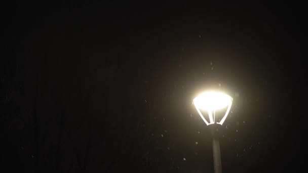 Удивительный снегопад в ночном городском парке на ярком светлом фоне фонаря в начале зимы. городской пейзаж вечером. Метеорология, погода, природные феномены, счастливого Рождества и Нового года — стоковое видео