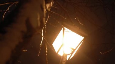 Gece parkında inanılmaz yavaş kar yağışı var. Arka planda fener var. Kışın erken saatlerinde çekilen çekim. Meteoroloji, Hava Durumu, Doğal Fenomen, Mutlu Noeller ve Yeni Yıl Konsepti