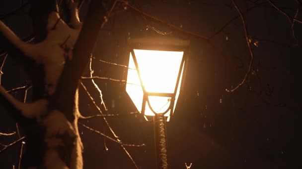 Menakjubkan gerak lambat salju turun di taman malam pada latar belakang lentera di awal musim dingin pan shot. Meteorologi, Cuaca, Fenomena Alam, Selamat Natal dan Selamat Tahun Baru Konsep — Stok Video