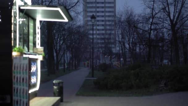 Geweldige sneeuwval in het ochtendpark op lantaarn coffeeshop achtergrond in de vroege winter. Begin van de dag in de stad. pan geschoten stadsgezicht. Weer, Natuurverschijnselen, Vrolijk Kerstfeest en Gelukkig Nieuwjaar Concept — Stockvideo