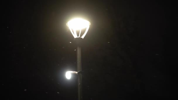 Удивительный снегопад в ночном городском парке на ярком светлом фоне фонаря в начале зимы. городской пейзаж вечером. Метеорология, погода, природные феномены, счастливого Рождества и Нового года — стоковое видео