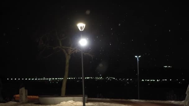 Increíble nevada en el parque nocturno de la ciudad sobre fondo de linterna de luz brillante a principios de invierno toma la sartén. paisaje urbano por la noche. Meteorología, Clima, Fenómenos Naturales, Feliz Navidad y Feliz Año Nuevo Concepto — Vídeos de Stock