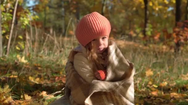 Authentische kleine niedliche kaukasische Vorschulmädchen 3-4 Jahre in orangefarbener Baskenmütze, die in eine Decke gehüllt auf dem Boden in fallenden gelben Blättern im Herbst Park oder Wald sitzen. Natur, Jahreszeit, Kindheitskonzept. — Stockvideo