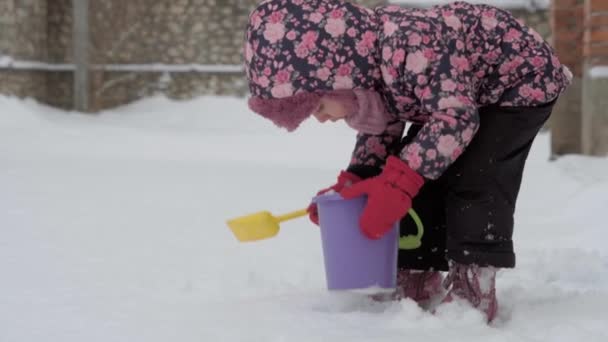 Invierno, vacaciones, juegos, conceptos familiares - plan medio de la niña de 3-4 años de edad preescolar auténtica en púrpura en el patio cubierto de nieve recoger la nieve en cubo con espátula de arena. niño en la zona nevada — Vídeo de stock