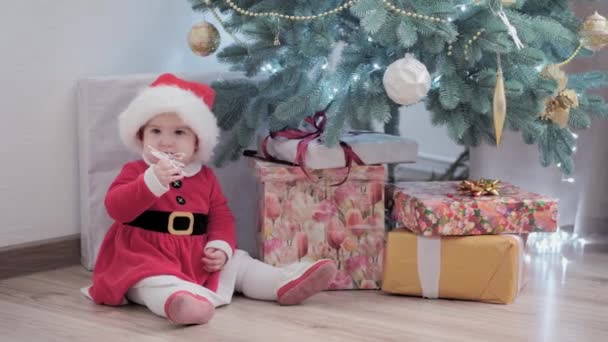 Auténtico lindo feliz alegría regordete niña con sombrero de santa y vestido rojo sonrisa jugar divertirse celebrando ambiente festivo año nuevo cerca del árbol de Navidad en casa. Infancia, día de fiesta, concepto de invierno — Vídeos de Stock