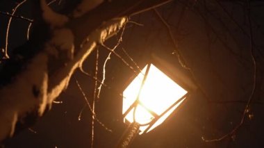 Gece parkında inanılmaz yavaş kar yağışı var. Arka planda fener var. Kışın erken saatlerinde çekilen çekim. Meteoroloji, Hava Durumu, Doğal Fenomen, Mutlu Noeller ve Yeni Yıl Konsepti