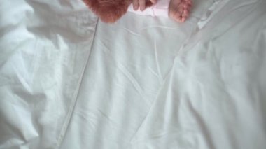 Otantik portre, beyaz yatakta oyuncak ayıyla pembe uykuda olan beyaz, beyaz, küçük, beyaz, tombul bir bebek bebek ya da oğlan. Çocuk öğle yemeği vakti dinleniyor. Bakım, Uyuyan Çocuk, Çocukluk, Ebeveynlik, Hayat Konsepti