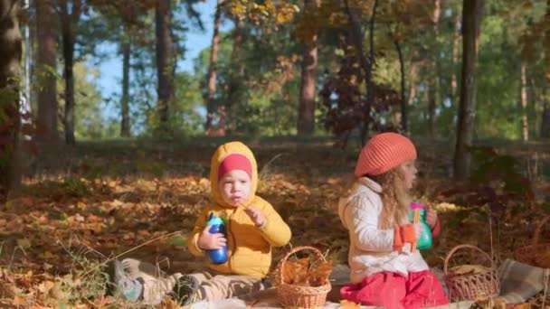 Authentic little cute caucasian preschool siblings children girl and boy eating on plaid in fallen yelow leaves in Autumn park or forest. Kid have spend time in fall. Nature, Season, Childhood concept — Stock Video