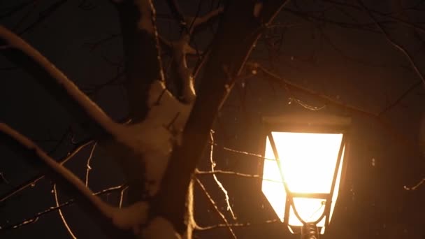 Fantastisk slow motion snefald om natten park på lanterne baggrund i begyndelsen af vinteren pan shot. meteorologi, vejr, naturlige fænomener, glædelig jul og Godt Nytår koncept – Stock-video