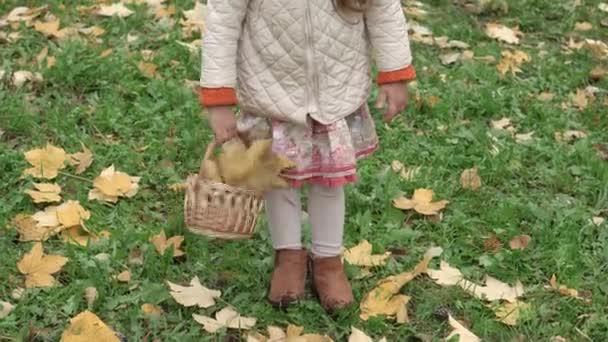 Jeugd, familie, herfst concept - klein blond gefrustreerd en pruilerig meisje 3-4 jaar oud in oranje baret staat triest hoofd verlaagd vasthouden rieten mand met gele bladeren in de hand in park bewolkt weer — Stockvideo