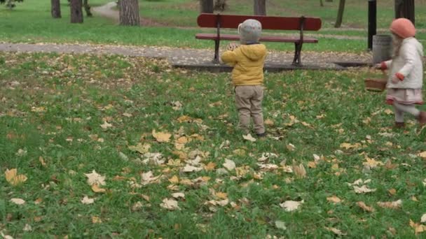Childhood, family, motherhood, autumn concept - joyful happy children 2-4 year old boy and girl two peers collect fallen yellow maple leaves from green grass in wicker basket in park in cloudy weather — Stock Video